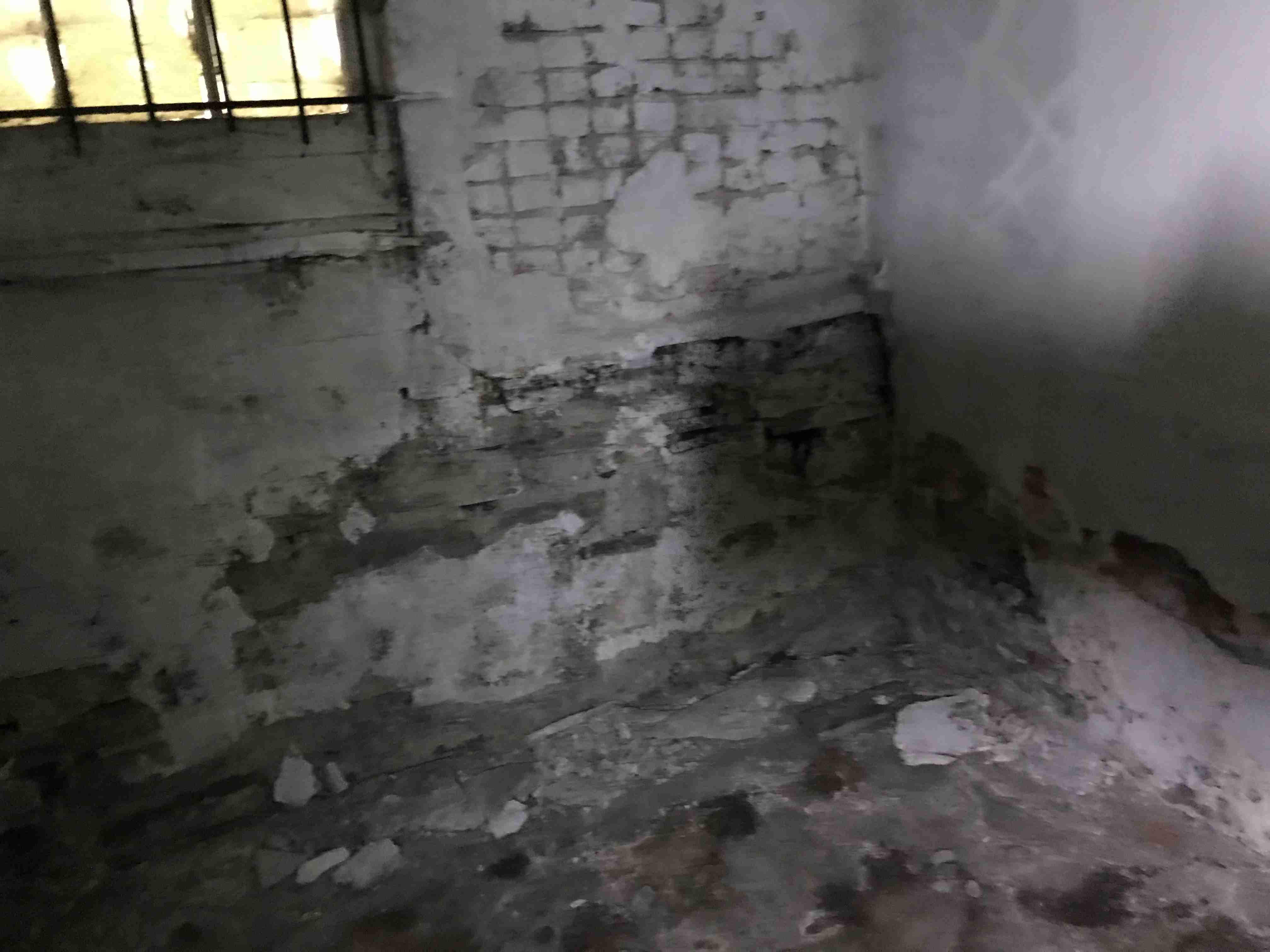 Photo Oct 13, 11 43 51 AM.jpg